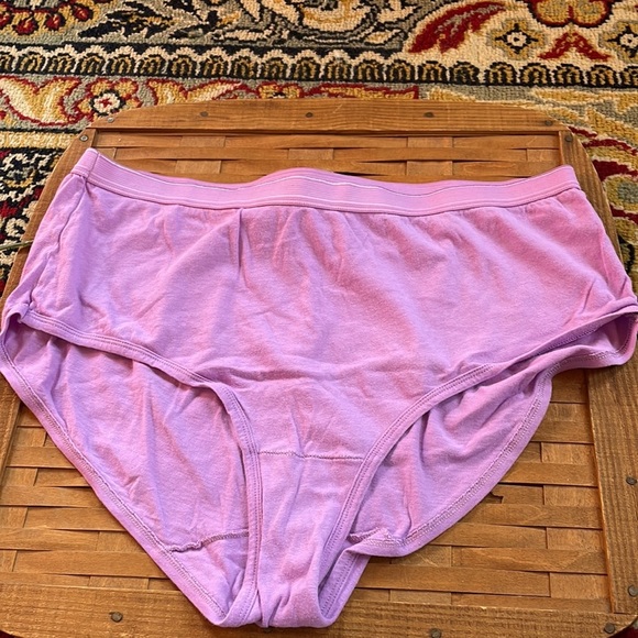 🗣Fruit of the Loom NEW Panties - Picture 2 of 5